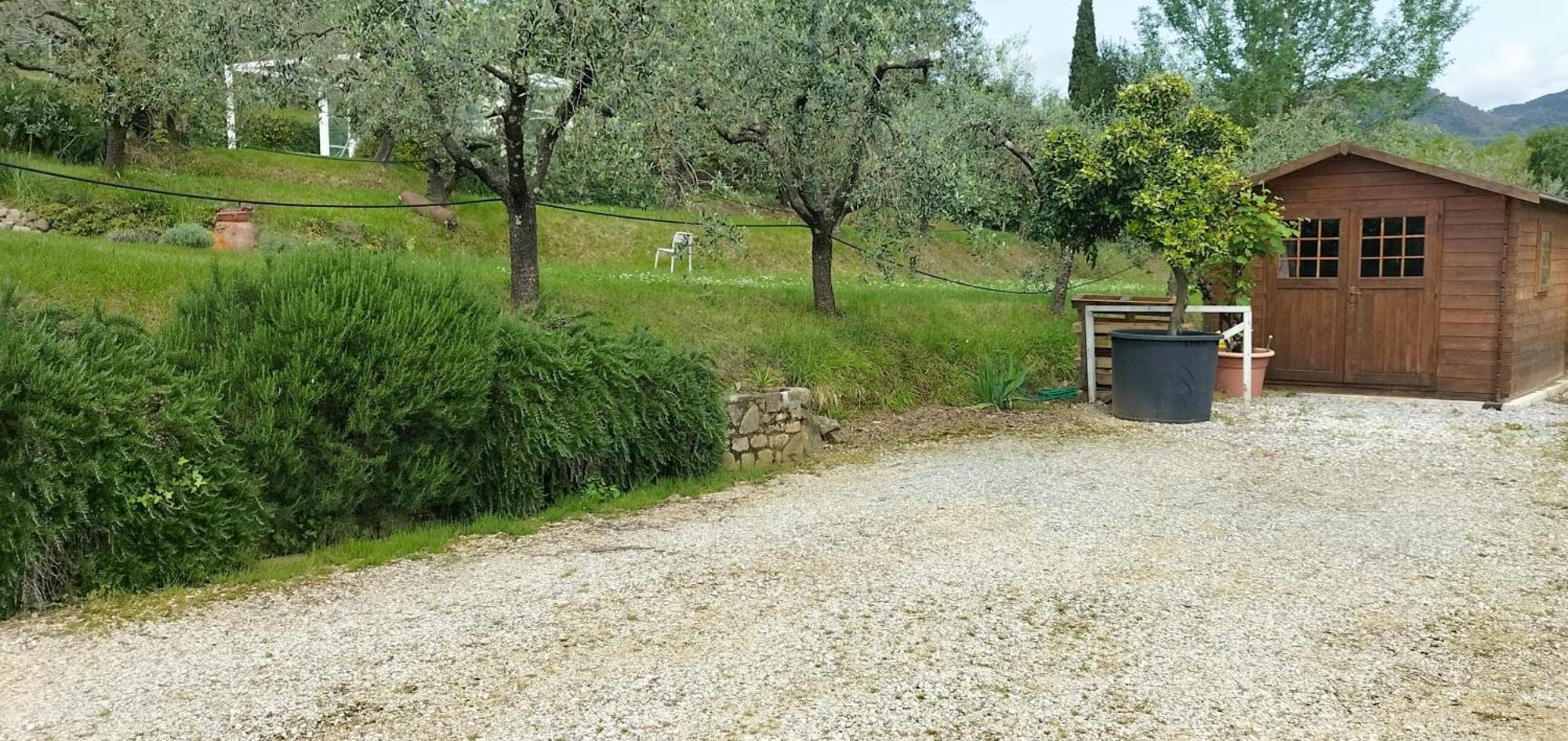 Il Campano Apartment Collodi Bagian luar foto
