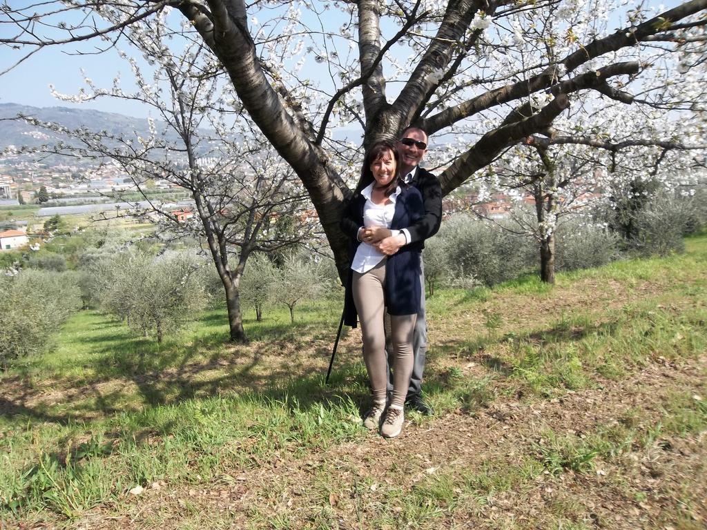 Il Campano Apartment Collodi Bagian luar foto
