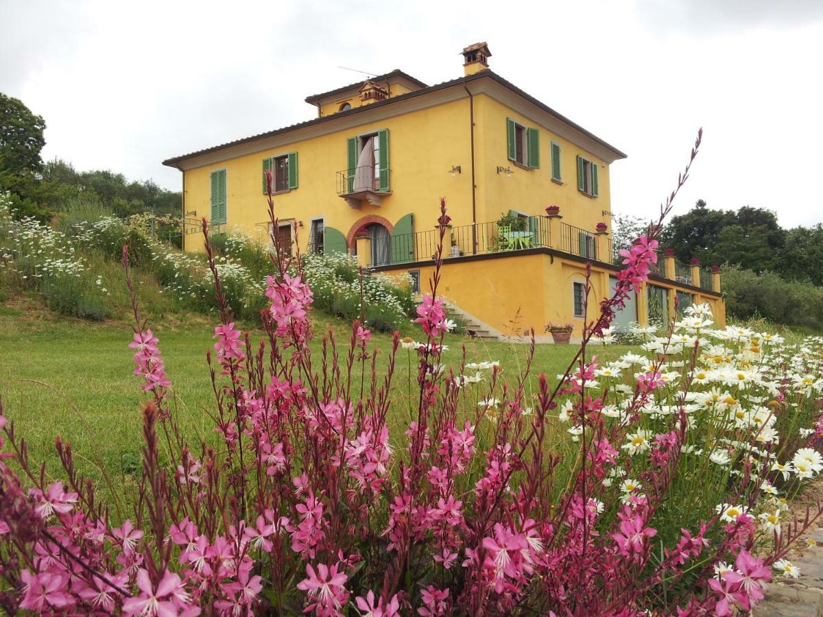 Il Campano Apartment Collodi Bagian luar foto
