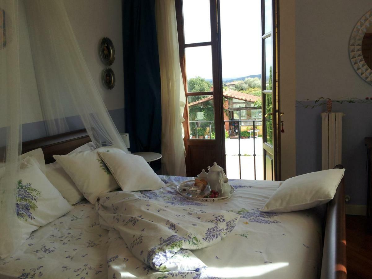 Il Campano Apartment Collodi Bagian luar foto